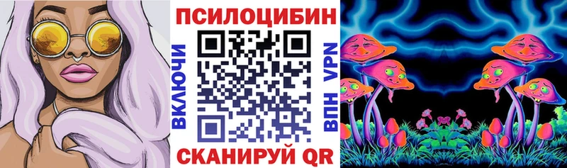 OMG маркетплейс  Бирюсинск  Галлюциногенные грибы Magic Shrooms 
